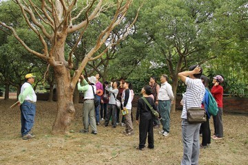 假日親子自然觀察解說