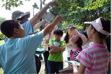 小小植物學家-指導學生進行植物葉片特徵的觀察