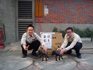 替代役役男熱心照護棄養幼犬提供民眾認養
