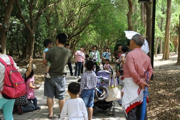 親子自然觀察導覽解說