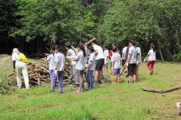 生物多樣性日-枯木堆造昆蟲棲地活動