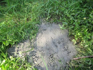 一期景觀親水區草溝竣工照片