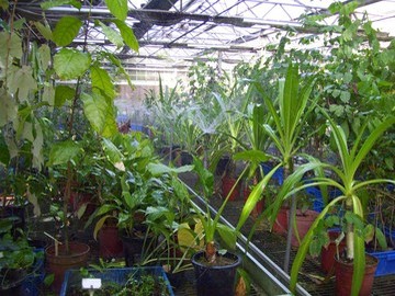 一期溫室噴灌馬達竣工照片（已可順利供水）