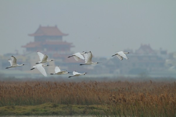 生命的樂章攝影展縮圖