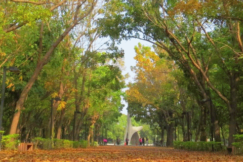 74期刊頭-3月的彩葉廣場