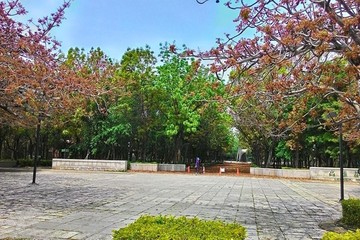 春天的入口廣場