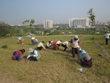 擁抱城市綠色臂彎-植樹
