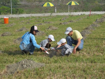 擁抱城市綠色臂彎-植樹