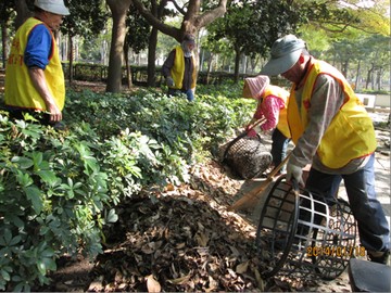 園區落葉、枯枝清理