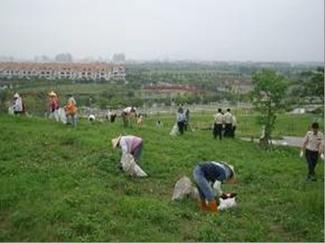 移除外來種植物