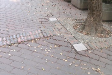 一期園區步道整修工程施工前照片