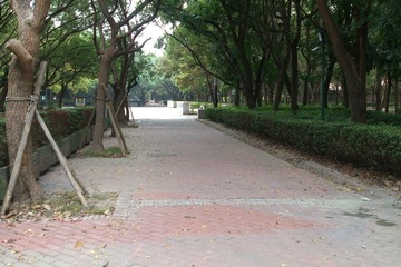 一期園區步道整修工程竣工照片