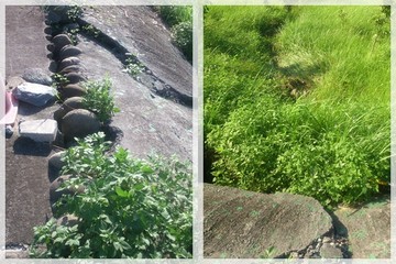 二期園區步道淘空整修工程施工前照片