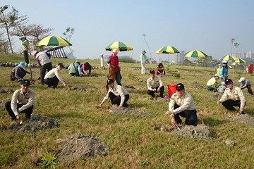 替代役役男協助植樹綠化