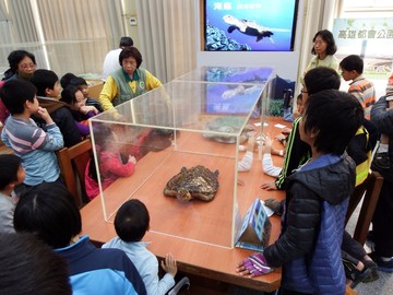 104年1月25日 自然遊戲-龜