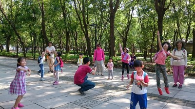 一起體驗大葉桃花心木子飛揚