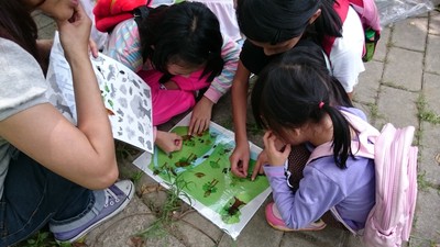 全家一起來拼出生態的家