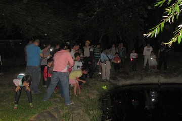 104年7月31日 夜間親子自然觀察