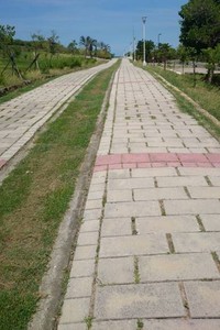 施工前照片（步道磚間縫過大、隆起、斷裂）