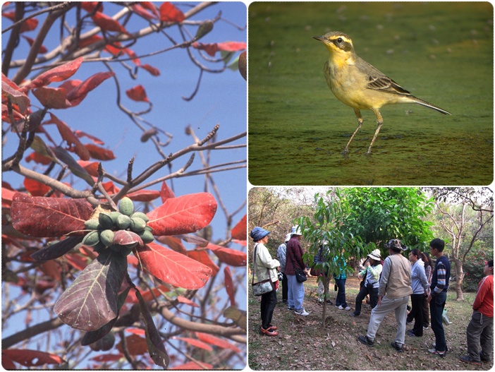 1040117-0118-親子自然觀察活動