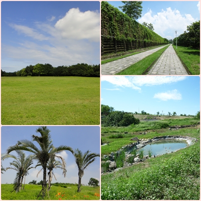 拜訪青山生趣多