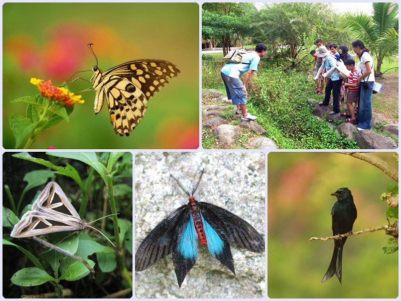 親子自然觀察活動