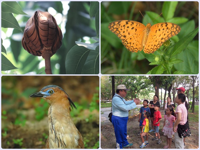103/03/29-30-親子自然觀察活動宣導附圖