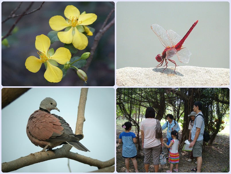 103年4月12-13日高雄都會公園親子自然觀察活動