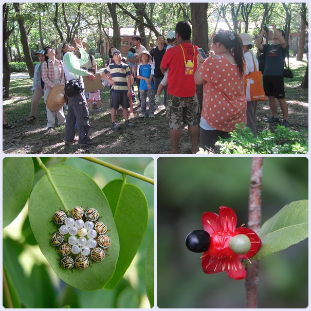 103年4月26-27日高雄都會公園親子自然觀察活動