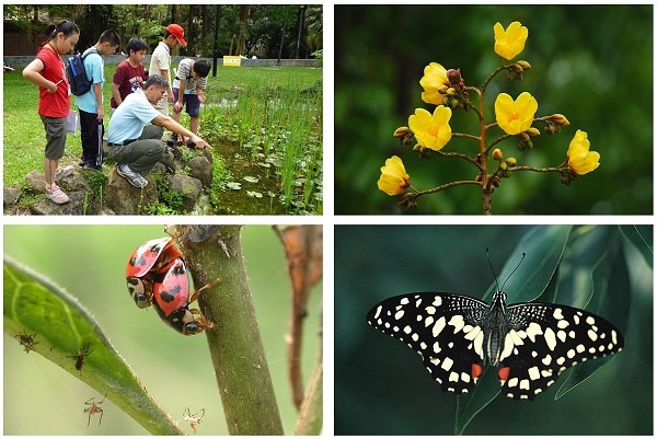 103年5月3-4日高雄都會公園親子自然觀察活動