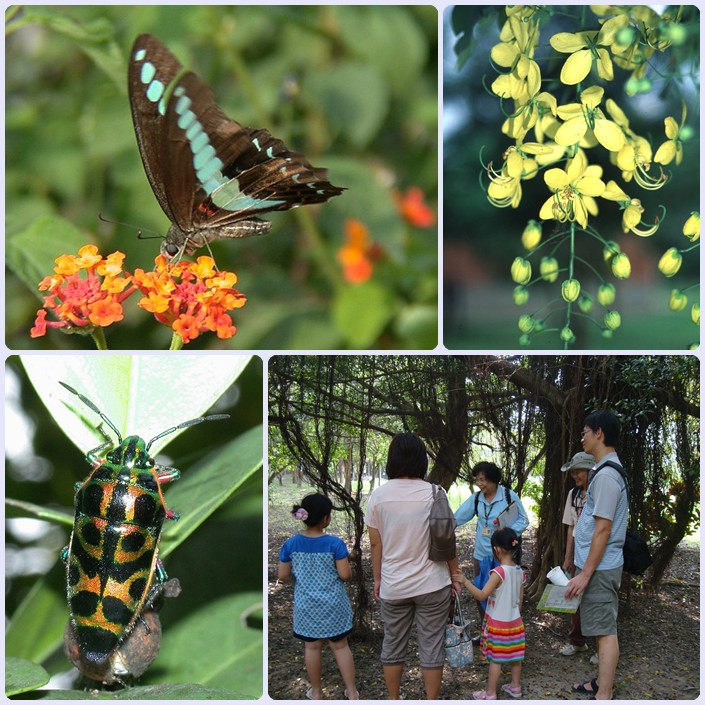 103年5月17-18日高雄都會公園親子自然觀察活動
