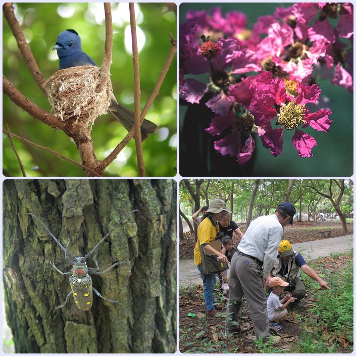 103年5月24-25日高雄都會公園親子自然觀察活動