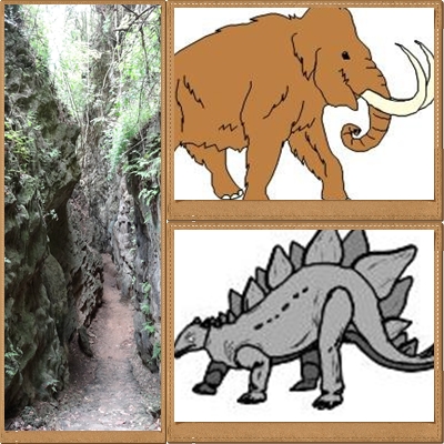 高雄都會公園103年5月24日講座-『綺麗奇幻的「鐘乳石」與「化石」』