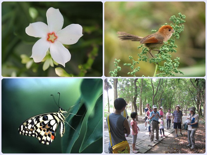 103年6月7-8日高雄都會公園親子自然觀察活動