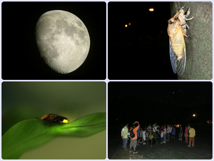 1030802-夜間自然觀察