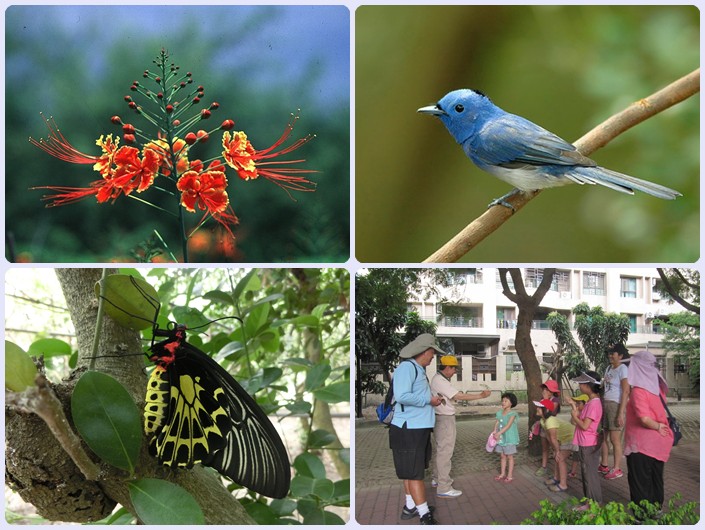 103年6月21-22日高雄都會公園「親子自然觀察」導覽解說