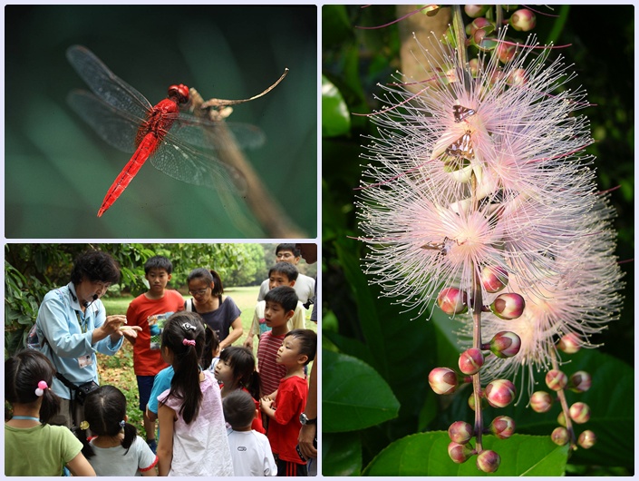 1030712-0713-親子自然觀察活動