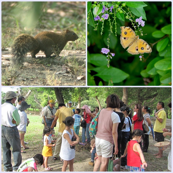 1030719-0720-自然觀察