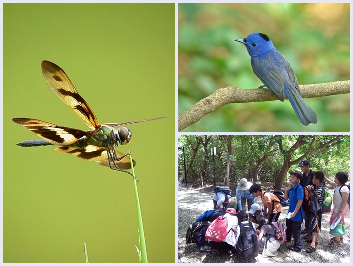 1030726-0727-親子自然觀察活動