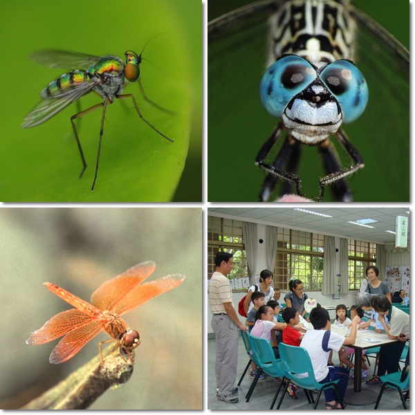 1030727-小昆蟲大世界-自然遊戲活動