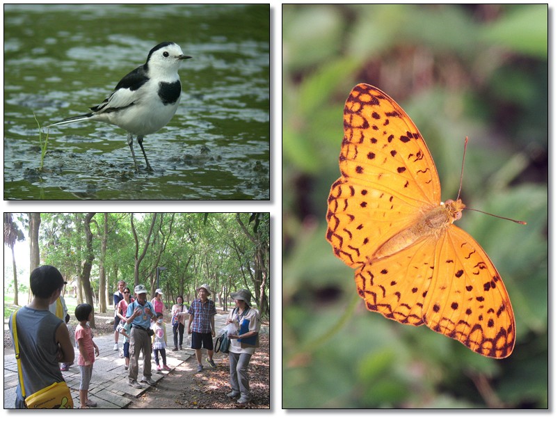 1030809-10-親子自然觀察活動
