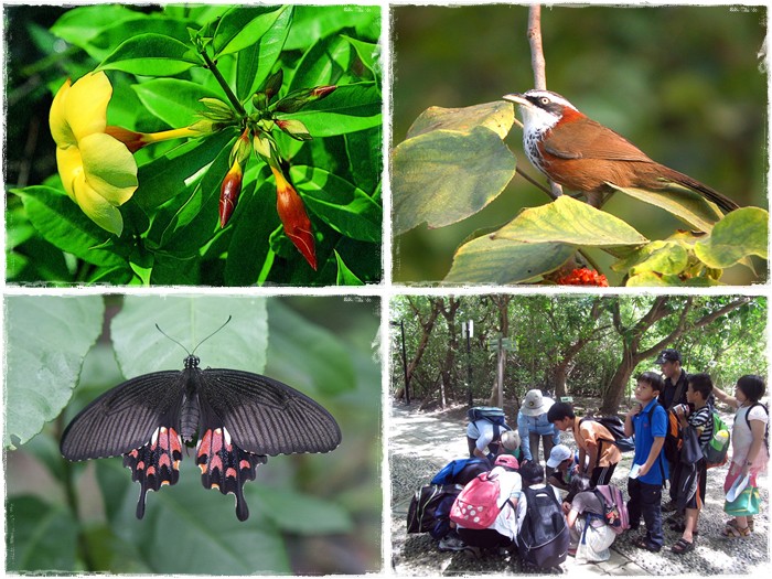 1030823-24-親子自然觀察活動 1030823-24-親子自然觀察活動