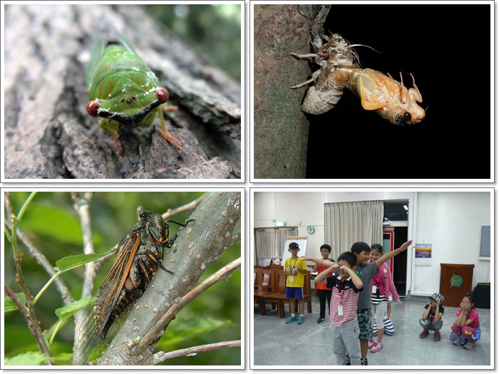 1030824-自然遊戲-吱吱叫