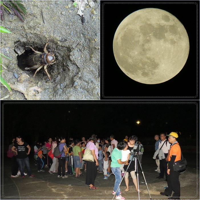 1030905-親子夜間自然觀察活動