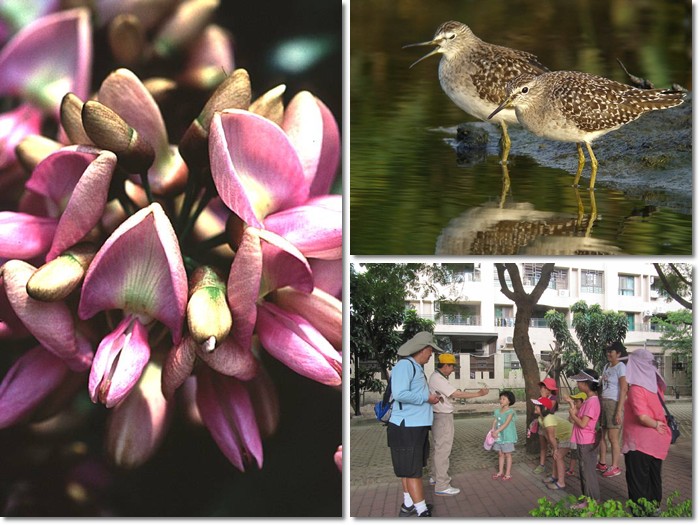 1030906-07-親子自然觀察活動 1030906-07-親子自然觀察活動