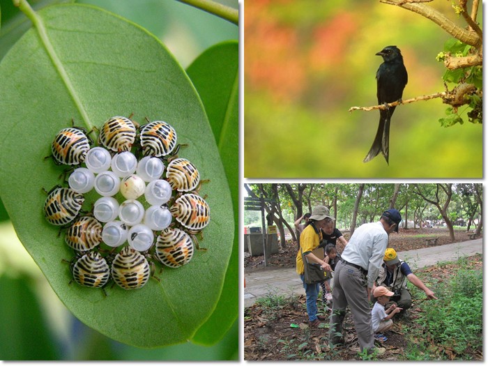 1030920-21-親子自然觀察活動