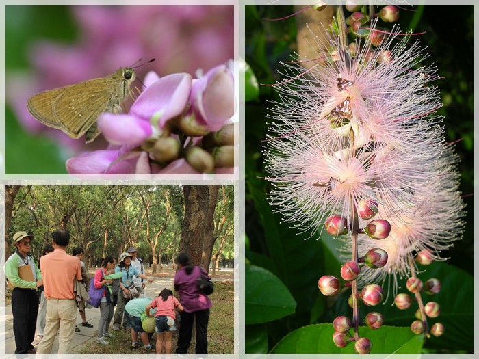 1030927-28-親子自然觀察活動