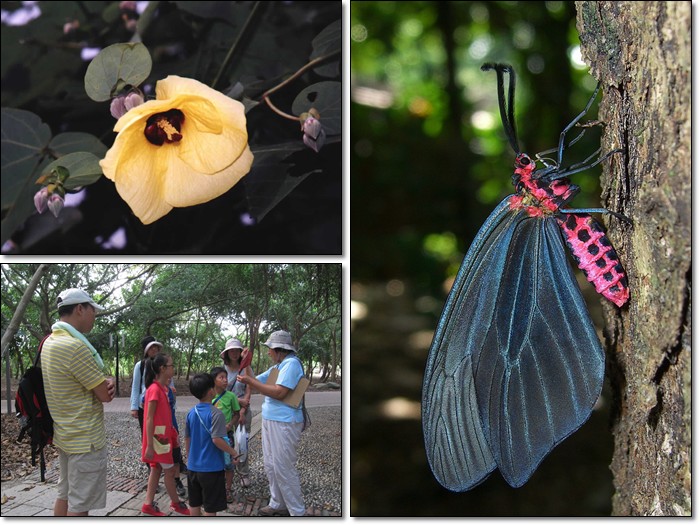 1031011-12-親子自然觀察活動 1031011-12-親子自然觀察活動