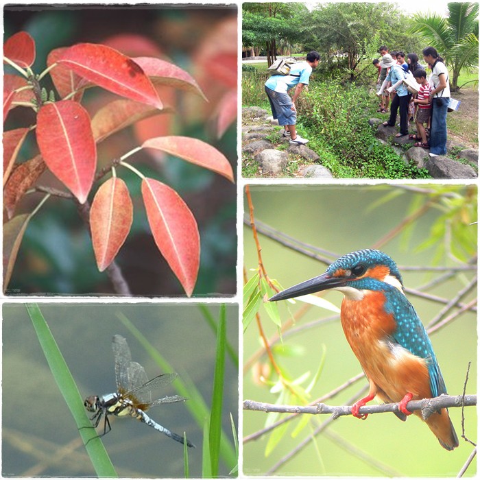 1031018-19-親子自然觀察活動 1031018-19-親子自然觀察活動