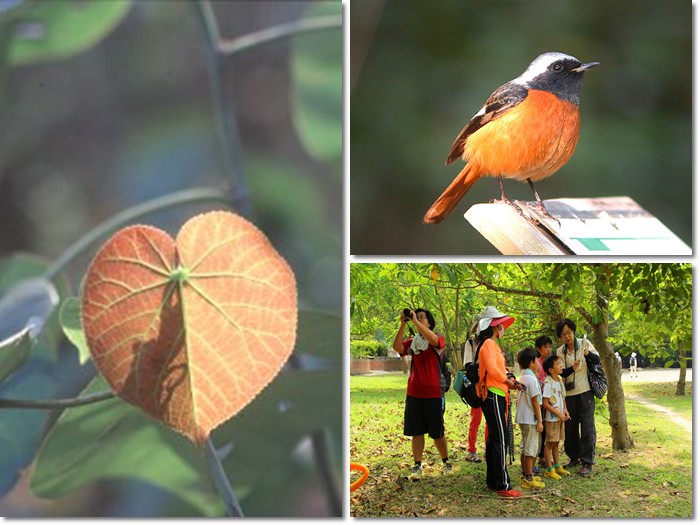 1031025-26-親子自然觀察活動